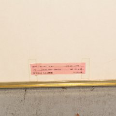 IMG_6202.JPG