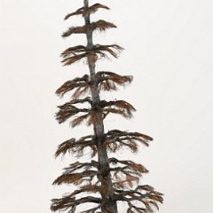 SOLD 8878 Wayne Trinklein Blue Spruce Tree Sculpture