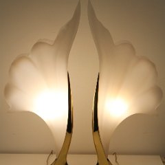 IMG_8557.JPG