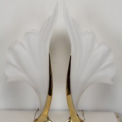 IMG_8562.JPG