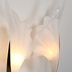 IMG_8574.JPG
