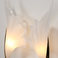 IMG_8575.JPG