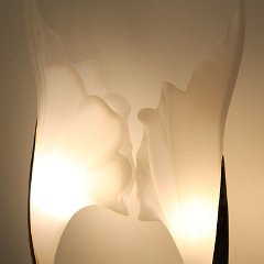 IMG_8576.JPG