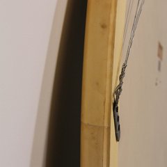 IMG_9253.JPG