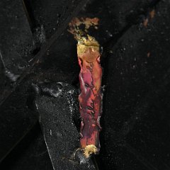 DSC_1484.JPG