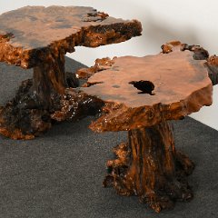 DSC_5274.JPG