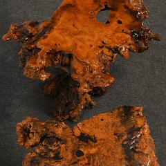 DSC_5278.JPG