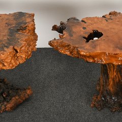 DSC_5292.JPG