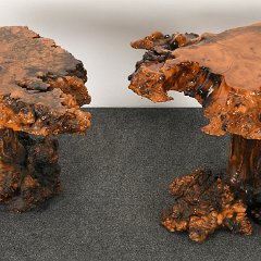 DSC_5301.JPG