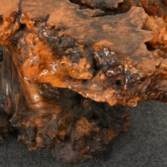 DSC_5304.JPG