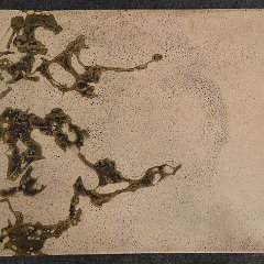 DSC_0129.JPG